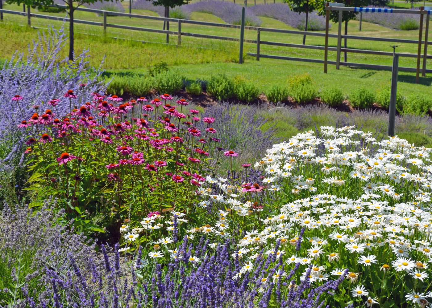 Cultivate Your Perfect Outdoor Oasis